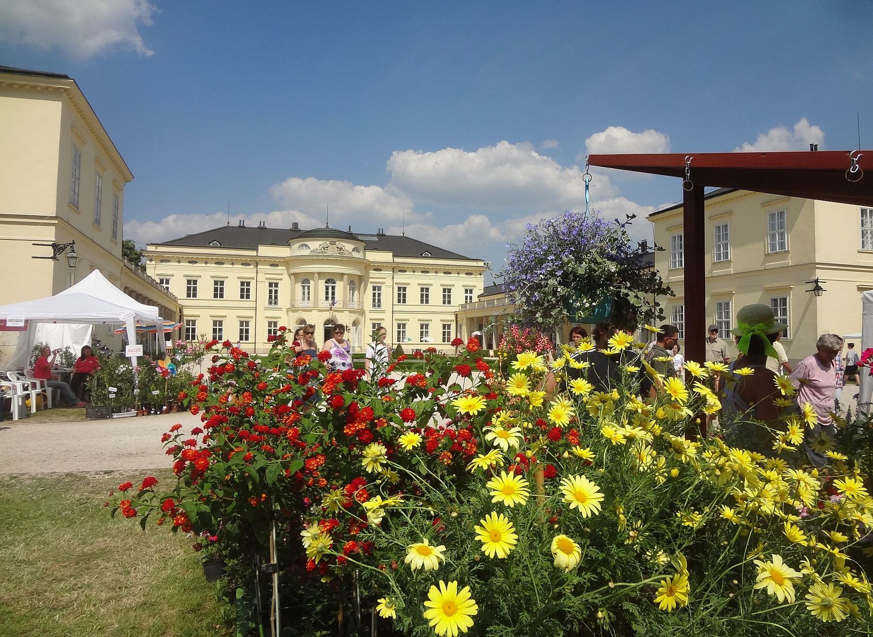 Idén szeptemberben lesznek a kertművészeti napok a Károlyi-kastélyparkban
